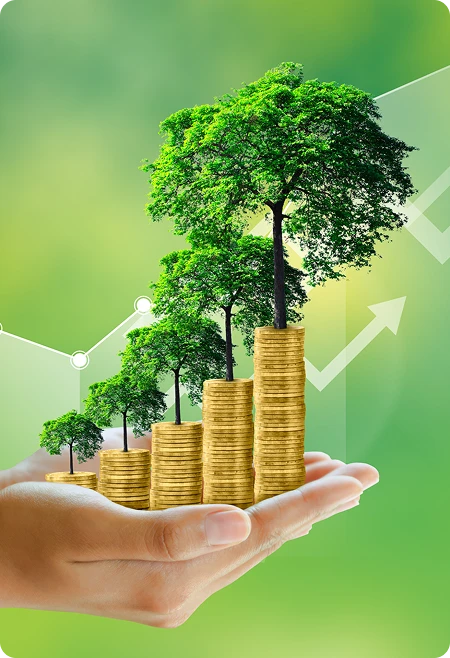 Mãos seguram pilhas de moedas com broto verde nascendo, representando o crescimento de investimentos sustentáveis guiados por critérios ESG.